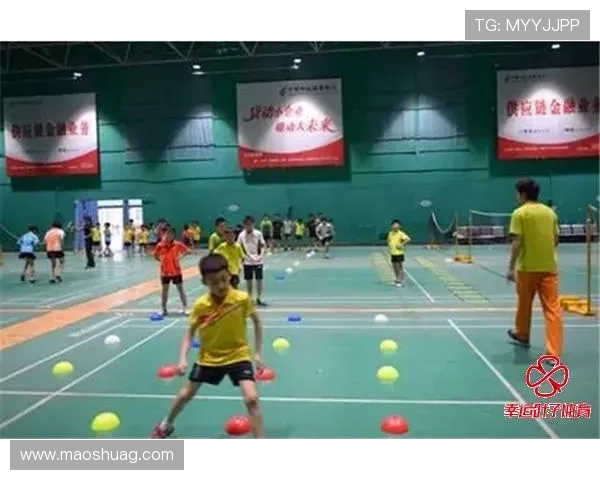 西安羽毛球队快攻战术分析与成败经验分享